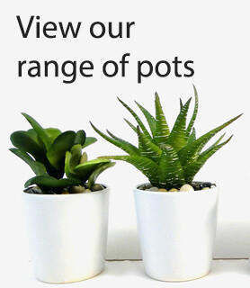 View Our Pots